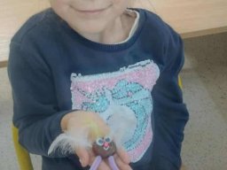 56056714612764938309452298174028999897776182n